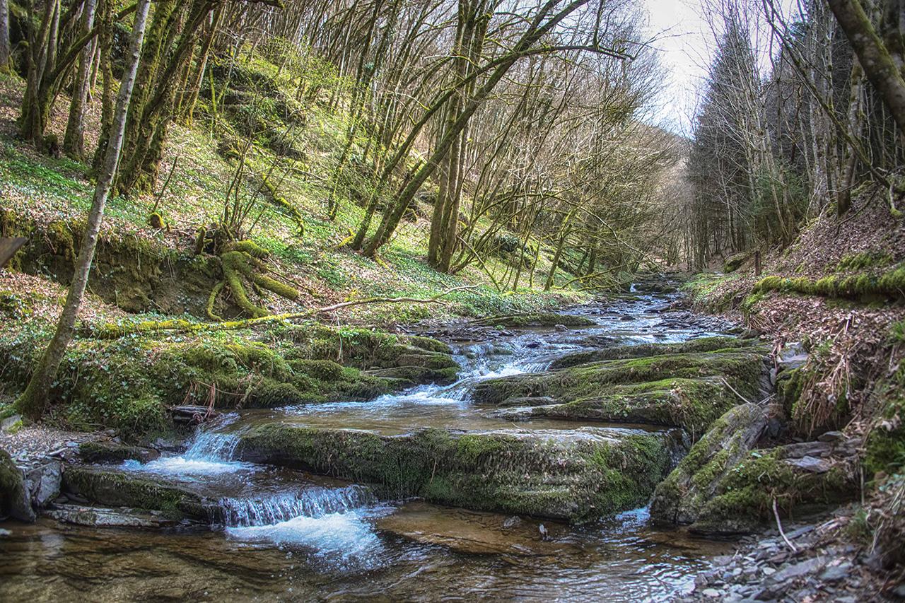 Aux Tanneries De Wiltz Hotel Eksteriør billede